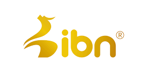 IBN CORP Logo